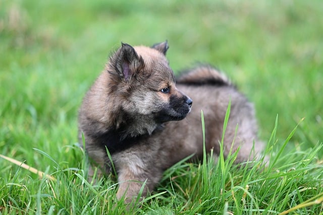 Filling Cost: How Much Does a Dental Filling Really Cost 