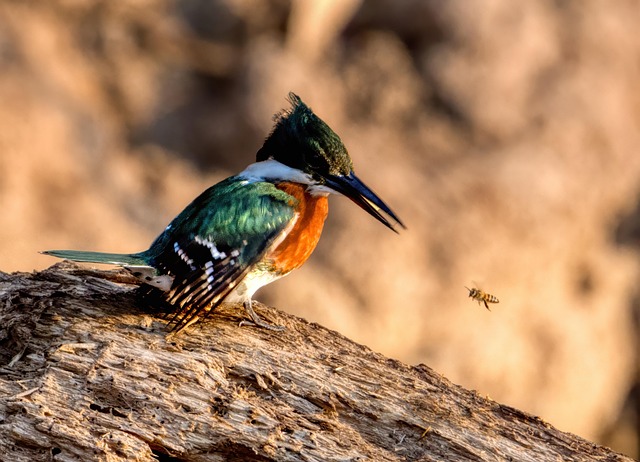 How to Sell on Amazon: A Step‑by‑Step Guide for Beginners