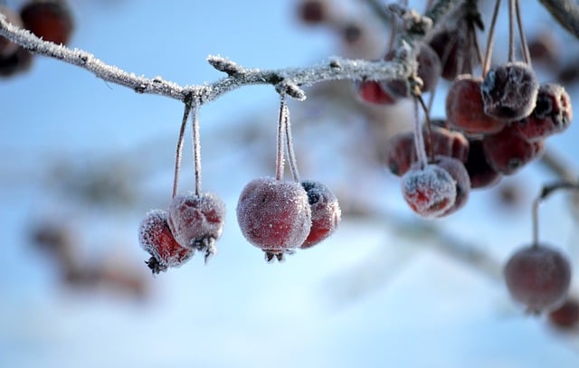 How to Get Free Apple Music: Legit Ways to Enjoy Unlimited Songs