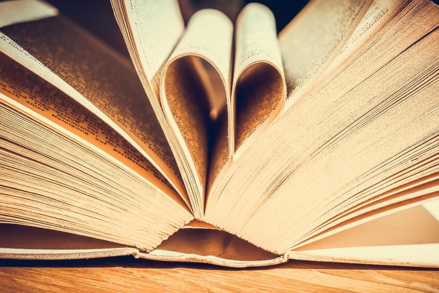 Apprendre le français : Guide complet pour les débutants