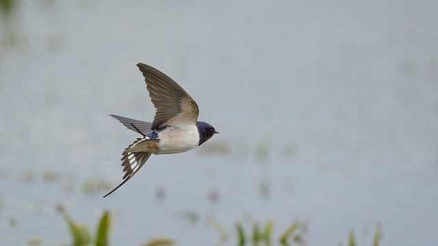 How to Become a Pilot: A Step‑by‑Step Guide