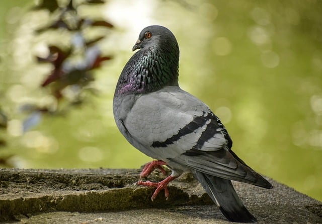 How to Safely Crack Your Lower Back: Tips and Techniques