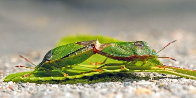 Learn Behavioral Science: A Practical Guide to Understanding Human Actions