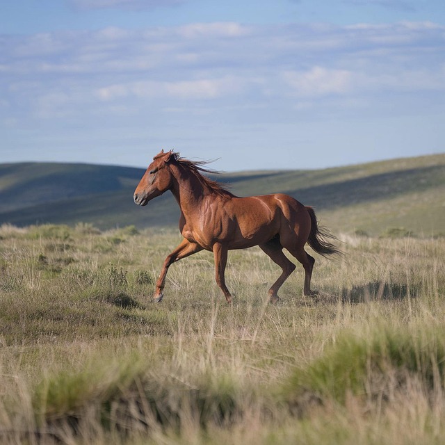 How Often Can You Donate Blood  A Complete Guide