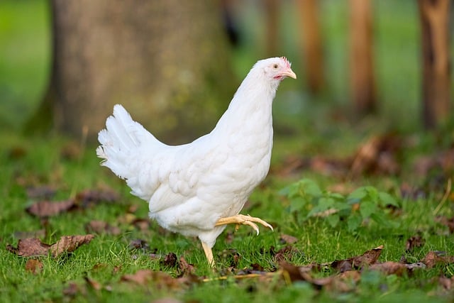 How to Start a Tile‑Cleaning Business: A Step‑by‑Step Guide