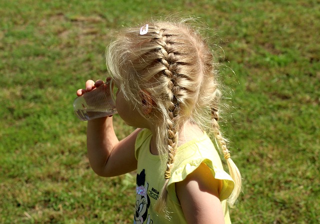 Disney World: A Complete Guide to Its Four Magical Parks