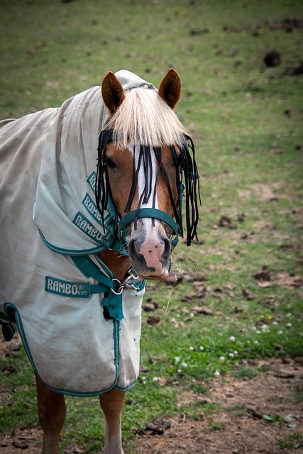 How to Get Rid of Eczema: Proven Strategies for Clearer Skin