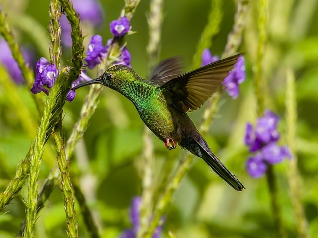 Learn to Fly Lyrics: Meaning, Themes, and How to Sing Along