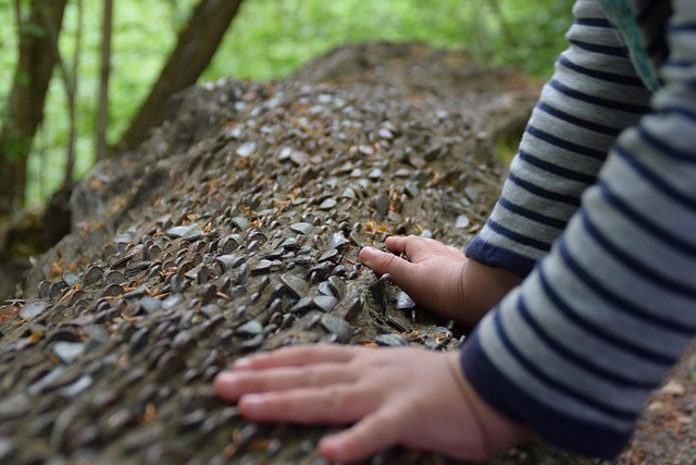 Learn Koine Greek: A Practical Guide for Beginners