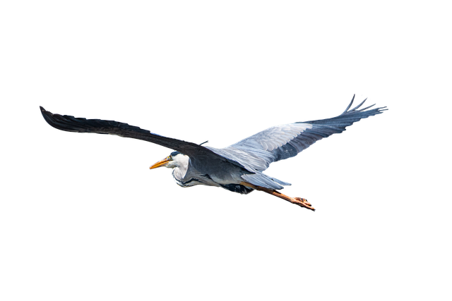 Learn Options Trading: A Beginner’s Guide