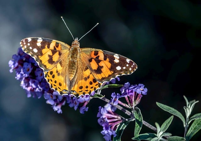 How Much Should It Cost to Paint a House with Tile 