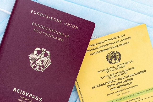 How to Renew Your Passport Online: A Step‑by‑Step Guide