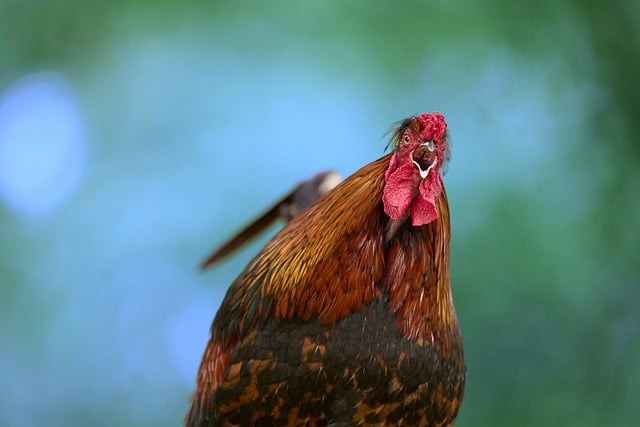 How to Find the Range of a Function: A Step‑by‑Step Guide