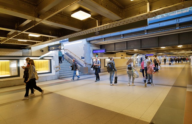 Learn Sign Language Free: A Complete Guide to Getting Started