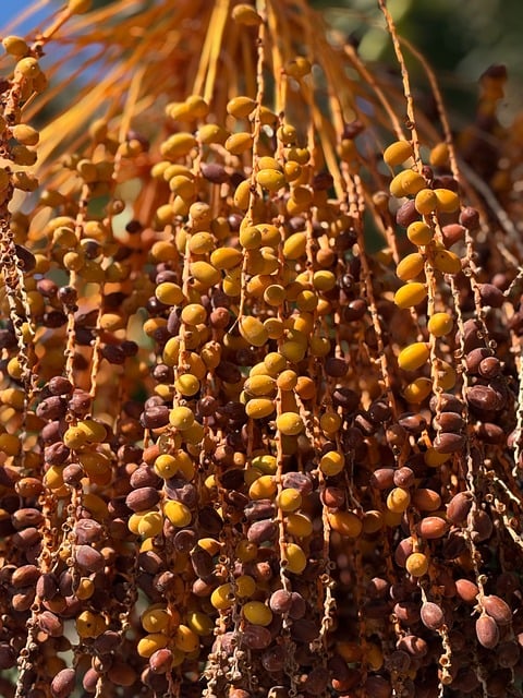 How to Learn Spanish Fast: Proven Strategies for Rapid Fluency