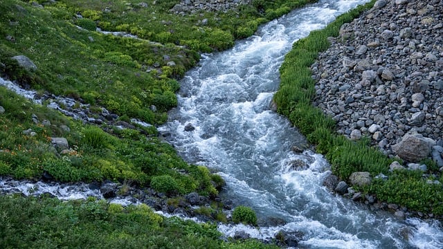 How to Watch ESPN Without Cable in 2025