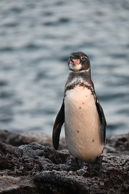Discover Old Lyme: A Charming Coastal Gem Worth Exploring