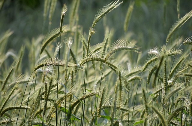 Learn to Type: Boost Your Speed and Accuracy