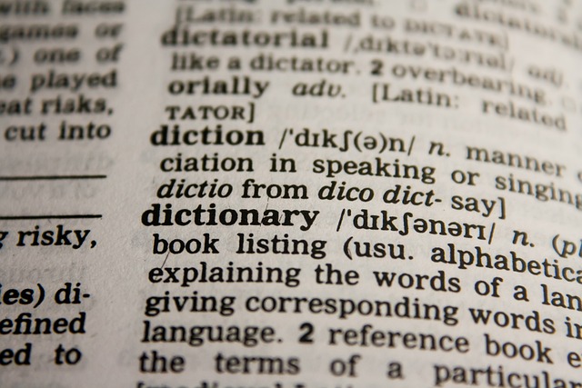 How to Master New Vocabulary Quickly and Effectively